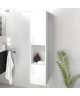 LUNA / LIMA Colonne de salle de bain L 25 cm  Blanc brillant