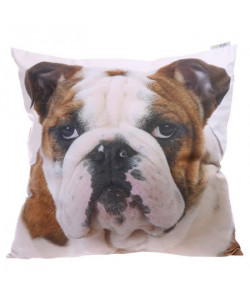 Housse et Coussin Bouledogue  50x50cm