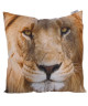 Coussin Tete de lion  50x50cm