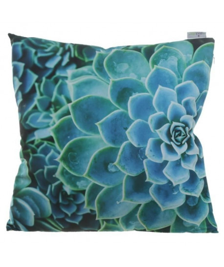 Coussin Cactus Succulent  50x50cm  Vert