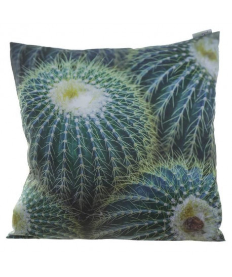 Coussin Photo Cactus  50x50cm