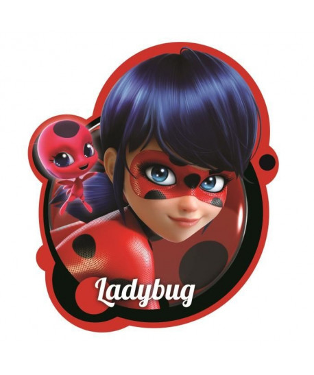 MIRACULOUS LADYBUG & TIKKI Coussin imprimé 3D  36x6 cm  Rouge