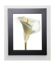 PRISMA Image encadrée Lily in Bloom I 31x37 cm Blanc