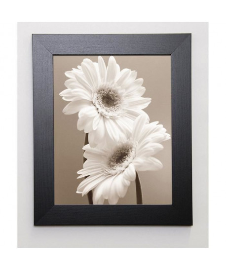 SHARP Image encadrée Two Daisies 31x37 cm Beige