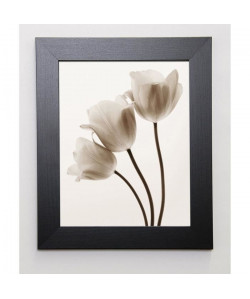 SMITH Image encadrée Composition with Three Tulips 31x37 cm Ivoire