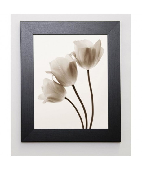 SMITH Image encadrée Composition with Three Tulips 31x37 cm Ivoire