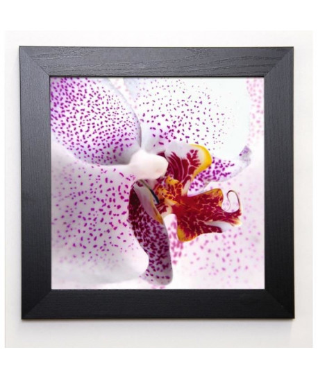 ALLEN Image encadrée Orchid II 37x37 cm Violet