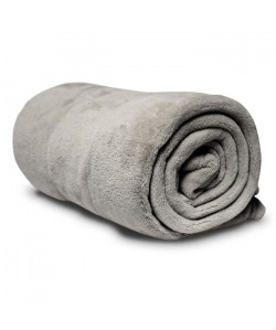 SOLEIL D\'OCRE Couverture microfibre 220x240 cm  Gris clair