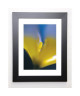 AYRAULT MARC Image encadrée Tulipe 3  37x47 cm  Jaune