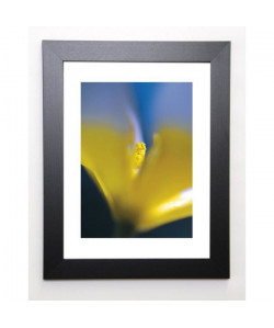 AYRAULT MARC Image encadrée Tulipe 3  37x47 cm  Jaune