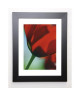 AYRAULT MARC Image encadrée Tulipe 4  37x47 cm  Rouge