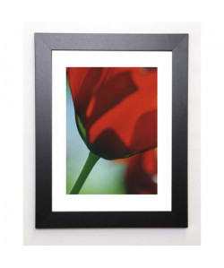 AYRAULT MARC Image encadrée Tulipe 4  37x47 cm  Rouge