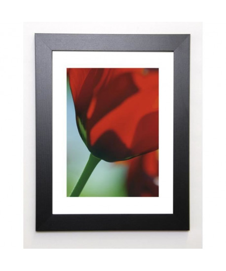 AYRAULT MARC Image encadrée Tulipe 4  37x47 cm  Rouge