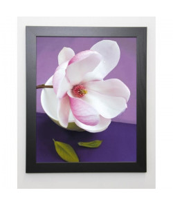 BEYLER CATHERINE Image encadrée Composition Zen : Fleur de Magnolia sur coupe verte  47x57 cm  Violet