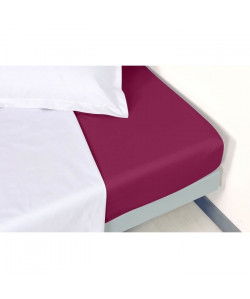 VENT DU SUD Drap housse Percale Manoir  Aubergine  90x190x30 cm