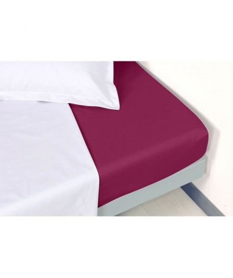 VENT DU SUD Drap housse Percale Manoir  Aubergine  90x190x30 cm