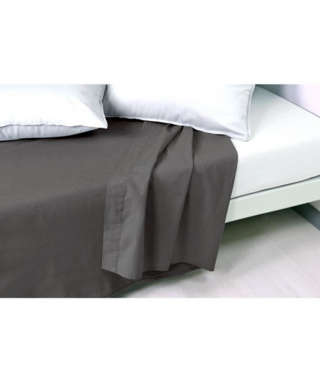 VENT DU SUD Drap plat PALACE 100% coton  240x300 cm  Gris cendre