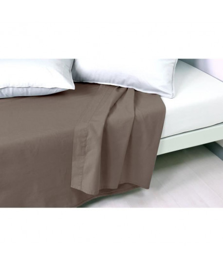 VENT DU SUD Drap plat PALACE 100% coton  240x300 cm  Marron havane