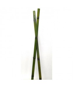 Tige de Bamboo artificielle  Hauteur 110 cm