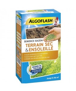 ALGOFLASH Semences gazon terrain sec et ensoleillé  1 Kg