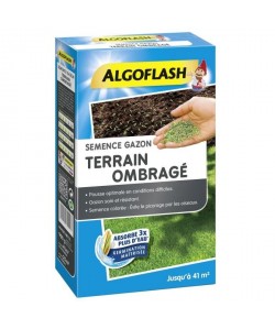 ALGOFLASH Semences gazon terrain ombragé  900 g