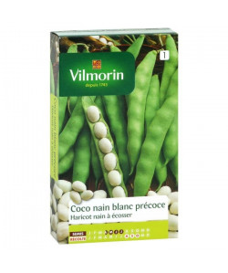 VILMORIN Haricot Coco nain Blanc précoce Sachet de graines