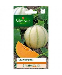 VILMORIN Melon Charentais