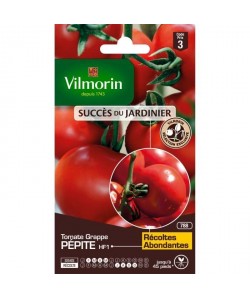 VILMORIN Sachet graines de Tomate grappe PEPITE  Création VILMORIN