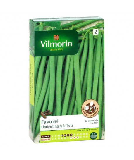 VILMORIN Haricot Favorel Sachet de graines  Création Vilmorin