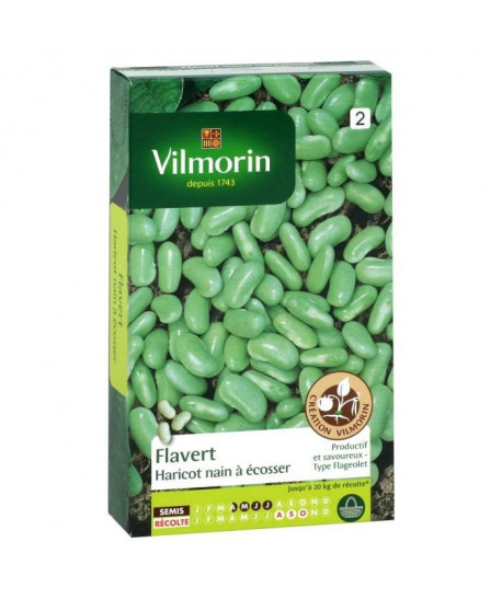 VILMORIN Haricot Flavert Sachet de graines  Création Vilmorin