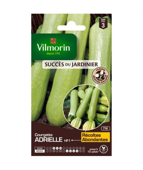 VILMORIN Courgette Adrielle HF1 Création Vilmorin