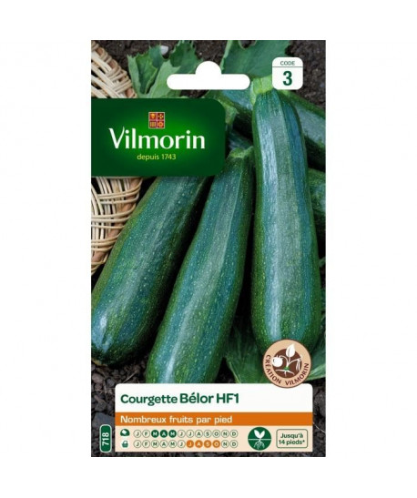 VILMORIN Sachet graines de Courgette BELOR