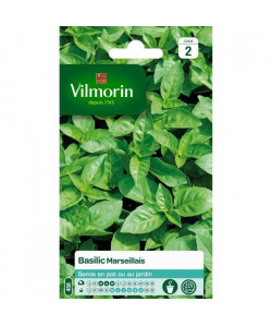 VILMORIN Sachet graines de Basilic Marseillais