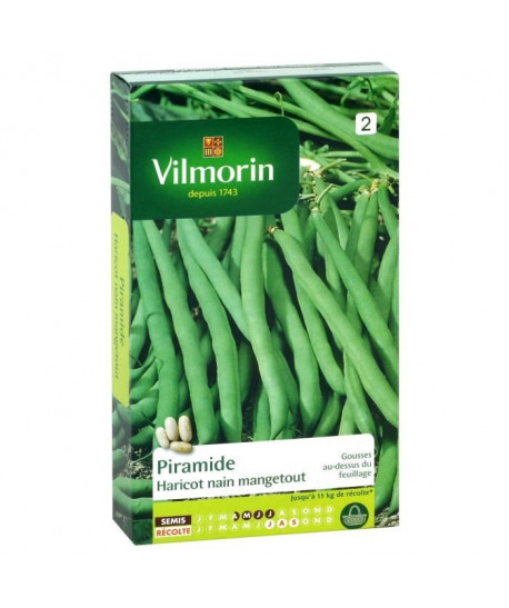 VILMORIN Haricot Piramide gousse au dessus du feuillage Sachet de graines