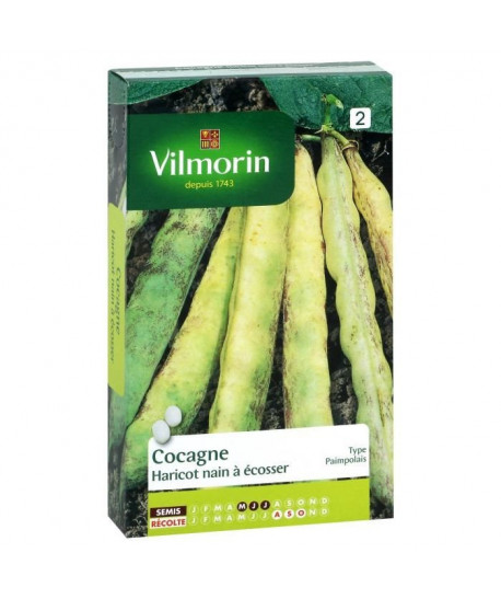 VILMORIN Haricot Cocagne type Paimpolais Sachet de graines