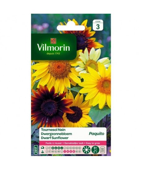 VILMORIN Tournesol nain Paquito