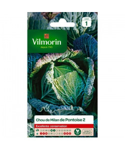 VILMORIN Chou de Milan de Pontoise