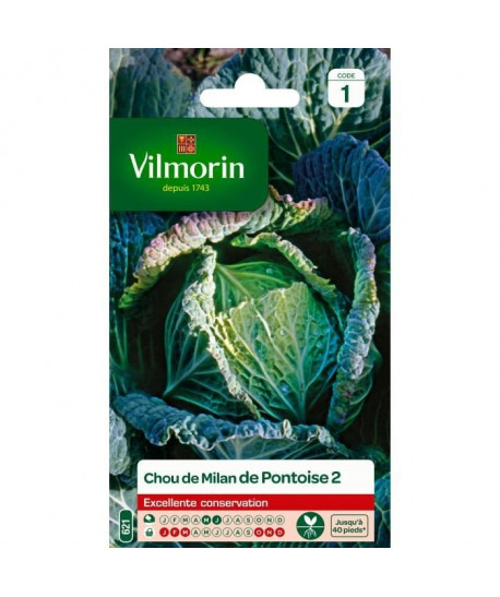 VILMORIN Chou de Milan de Pontoise