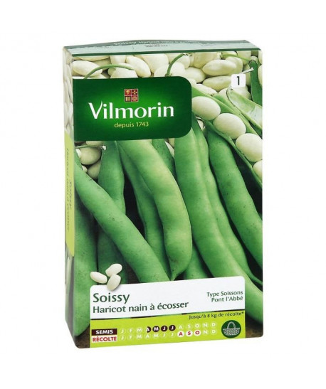 VILMORIN Haricot Soissy Sachet de graines