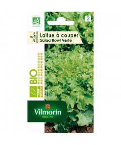 VILMORIN Sachet graines bio Laitue a couper SALAD BOWL Verte