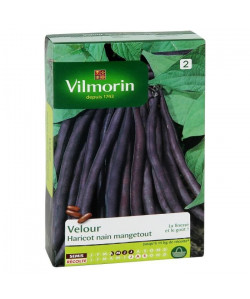 VILMORIN Haricot Velour gousse violette Sachet de graines