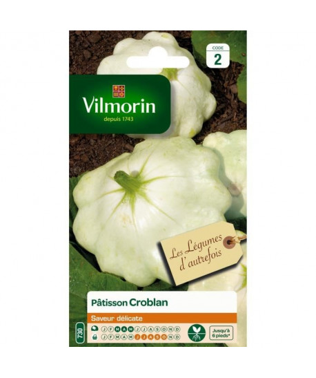 VILMORIN Patisson Croblan courgette