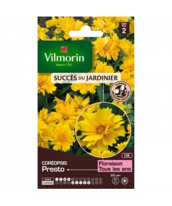 VILMORIN Coreopsis presto