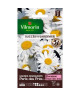 VILMORIN Chrysantheme grande marguerite Little Princess