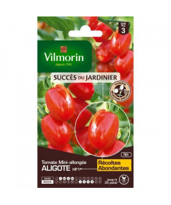 VILMORIN Sachet graines de Tomate ALIGOTE  Création VILMORIN