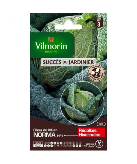 VILMORIN Chou de Milan Norma hf1