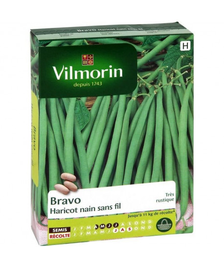 VILMORIN Haricot Bravo Boîte  100g