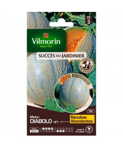 VILMORIN Sachet graines de Melon DIABOLO