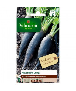 VILMORIN Navet noir long