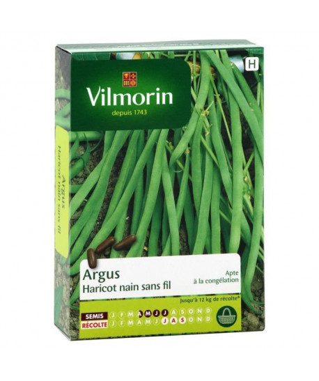 VILMORIN Haricot Argus Boîte  100g